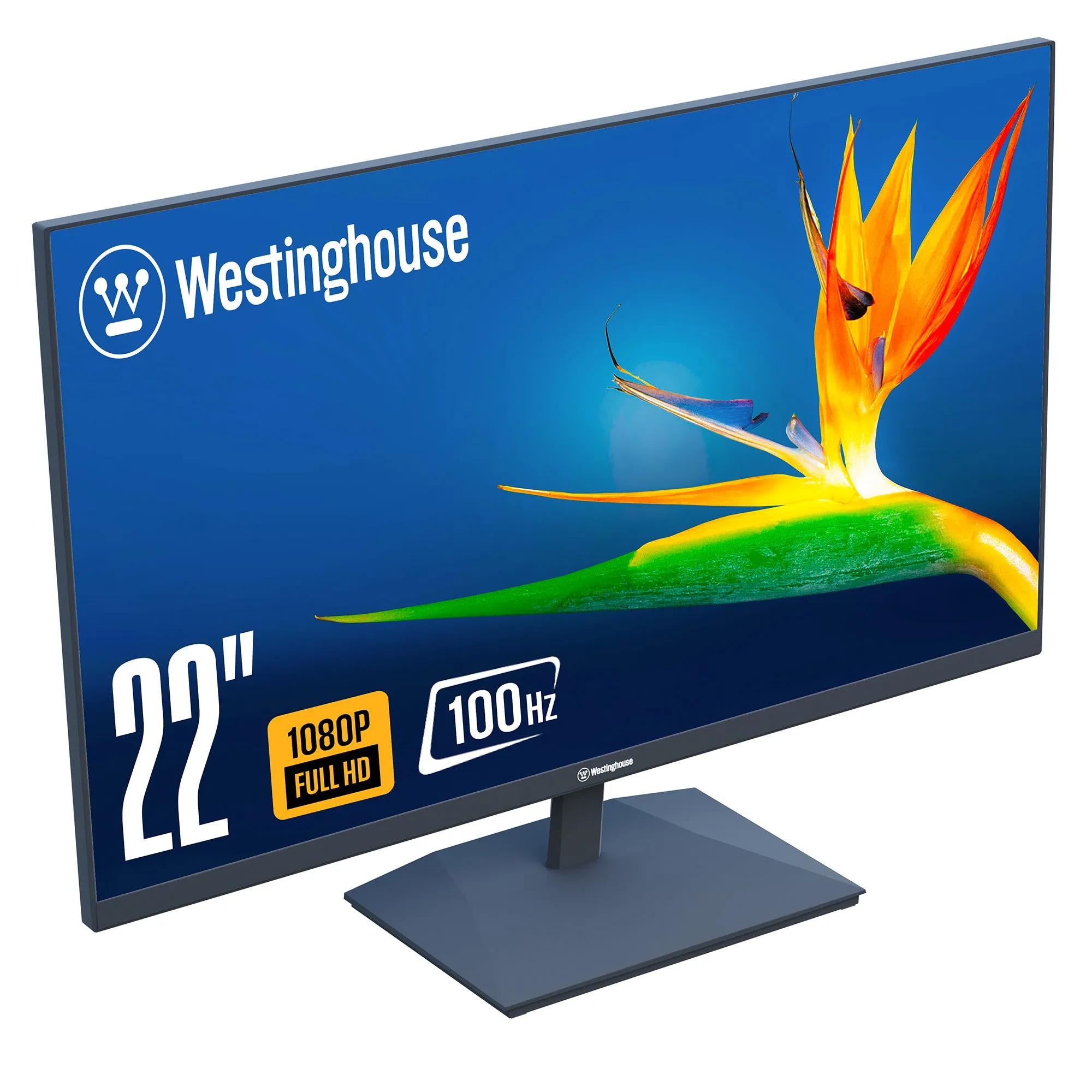 22" Home Office Monitor