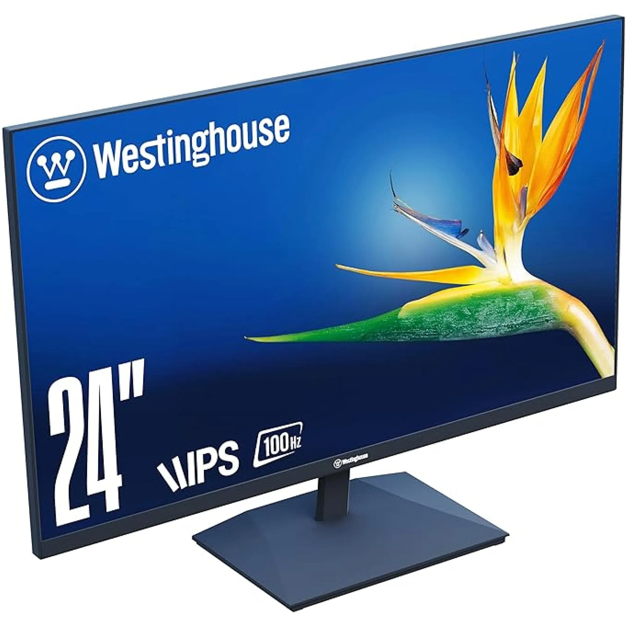 24" Home Office Monitor