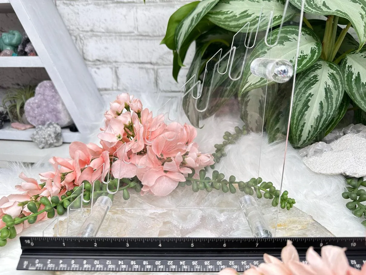 Acrylic Multiple Slice Stand