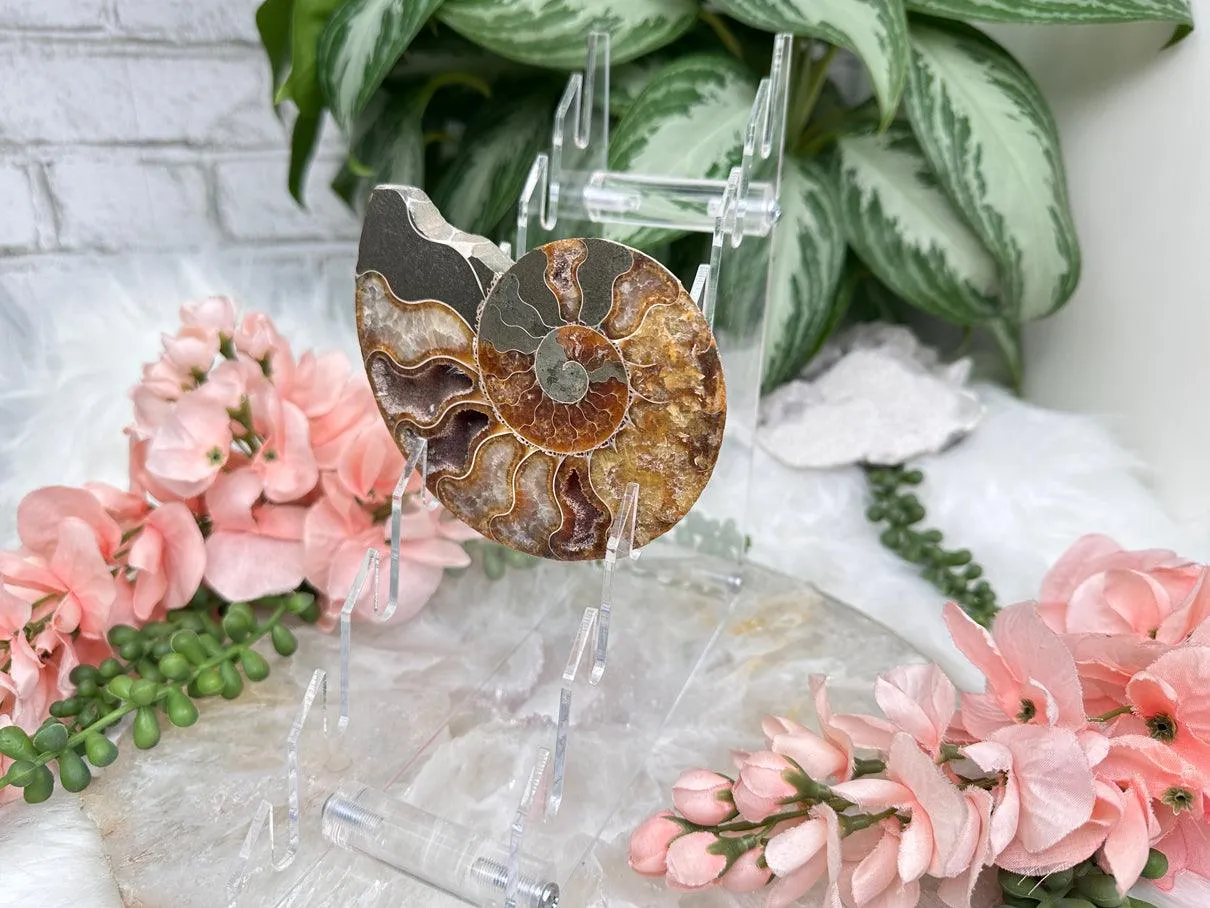 Acrylic Multiple Slice Stand