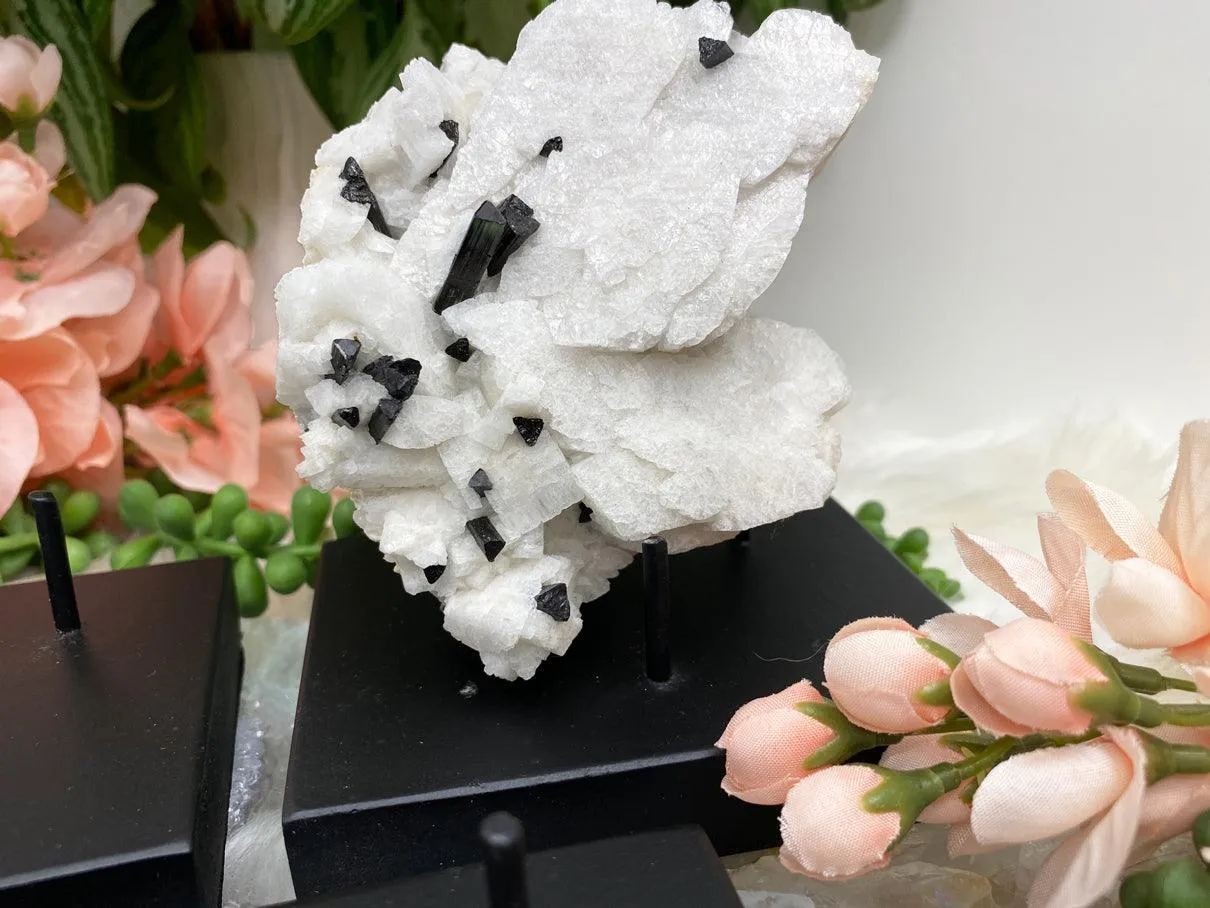 Black Prong Crystal Stand