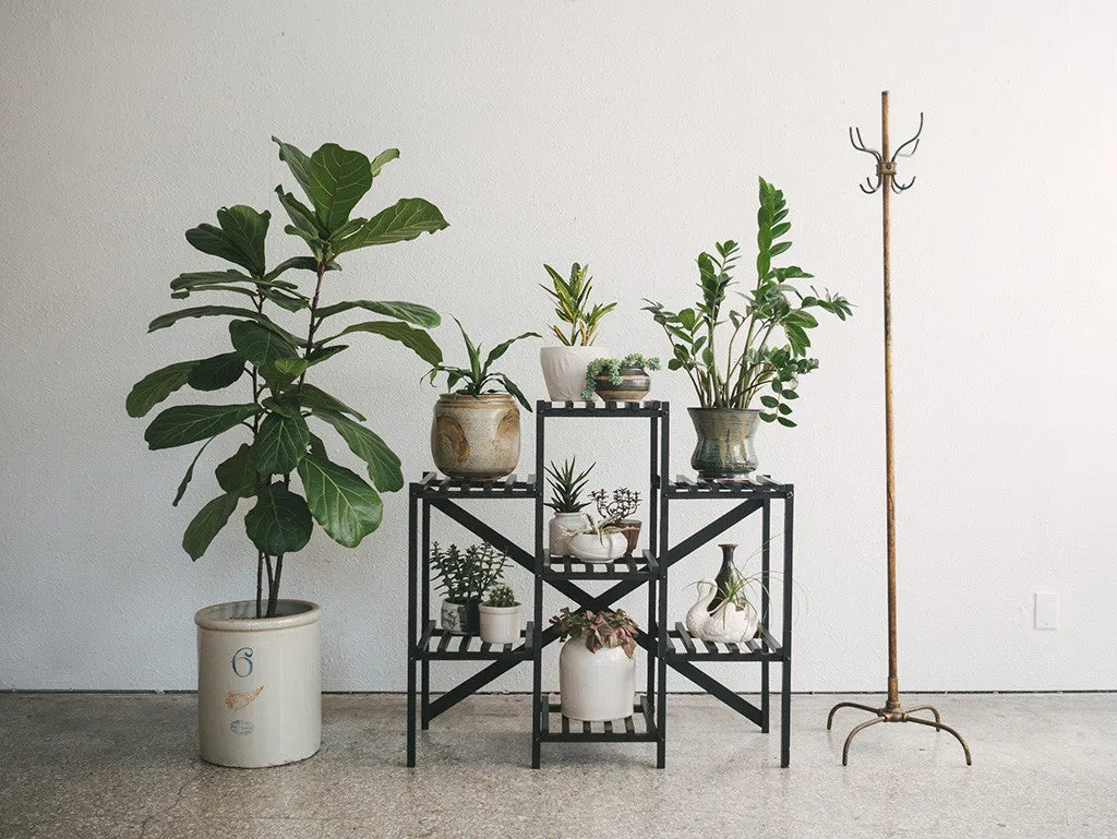 Black Slat Shelf