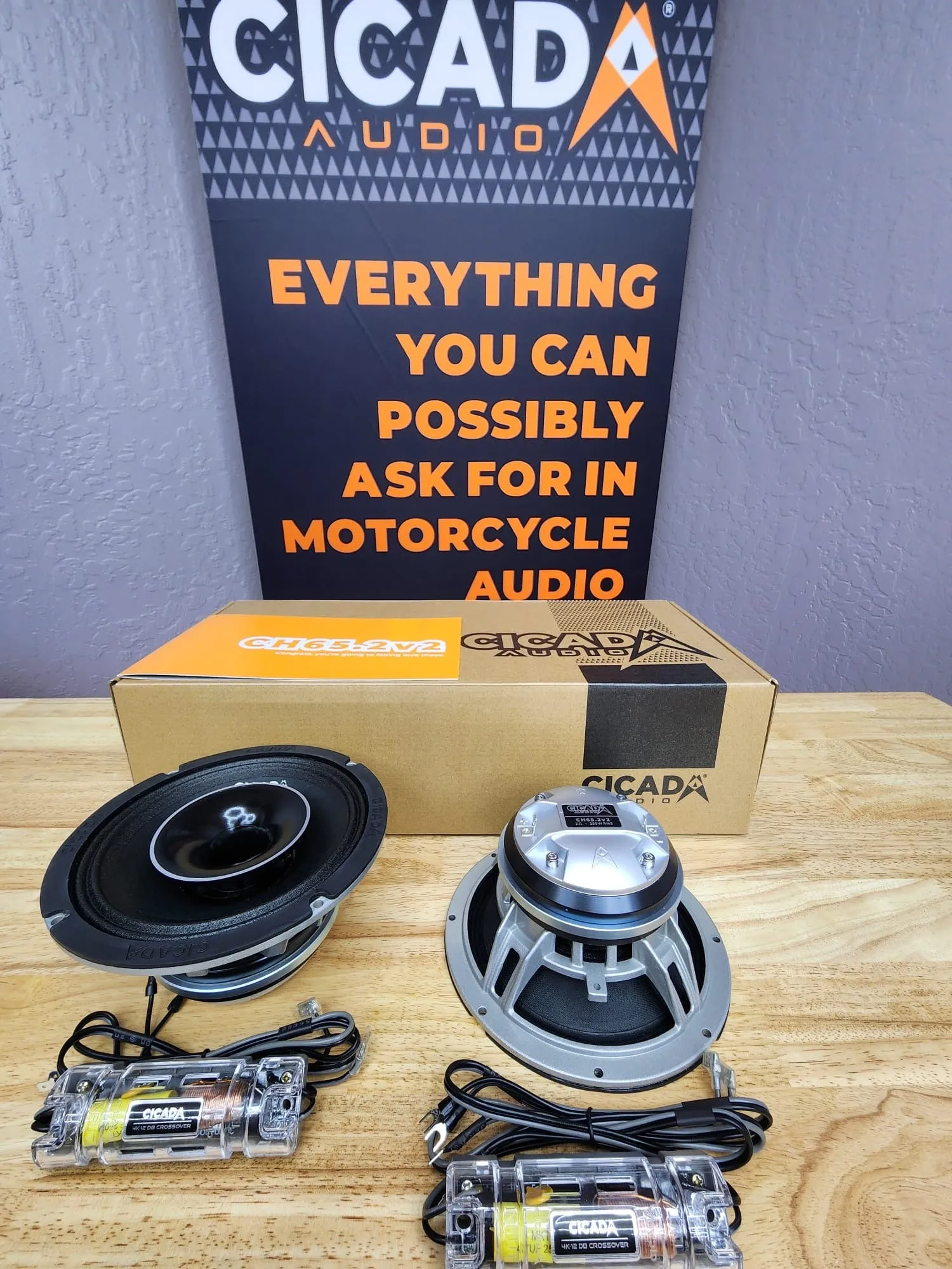 Cicada Black Friday DSP/CH Plug-and-play System