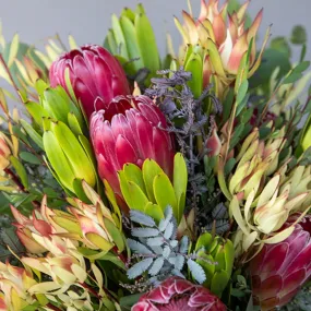 Creamy Peach Protea DIY Tropical Flower Kit