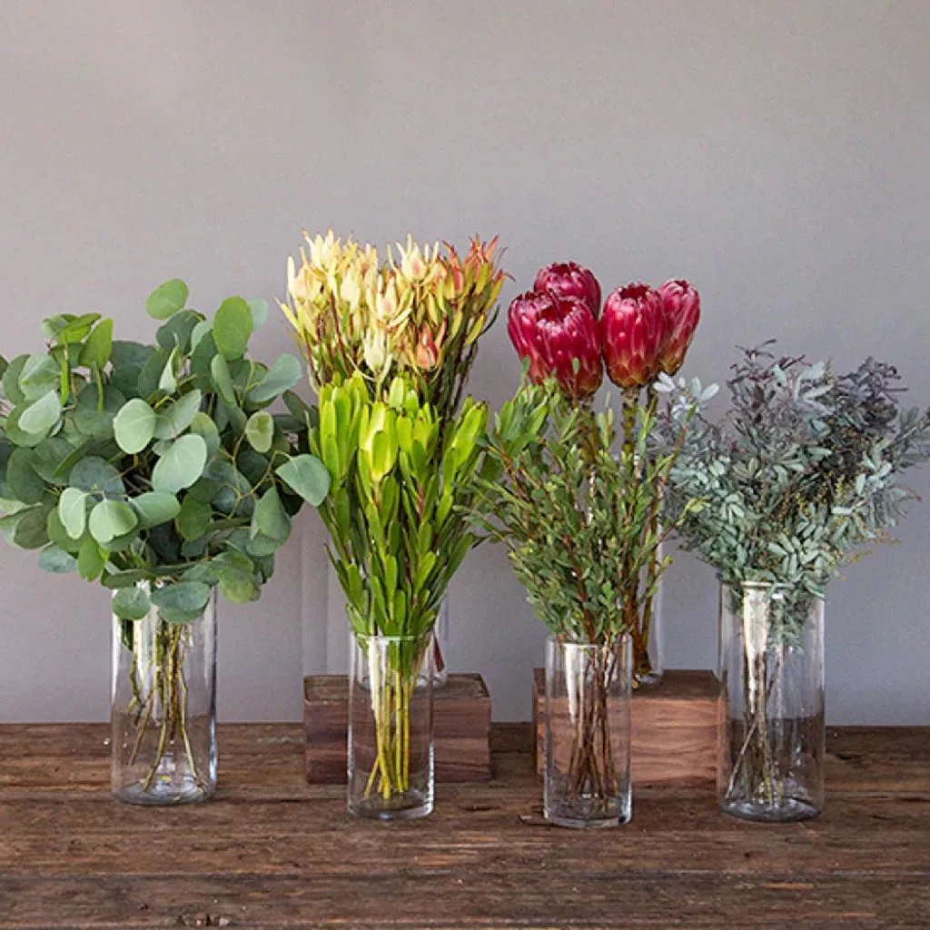 Creamy Peach Protea DIY Tropical Flower Kit