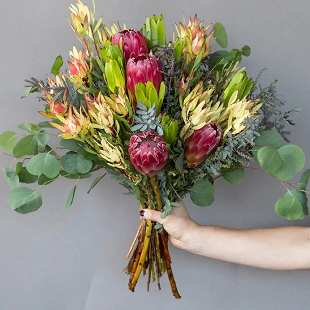 Creamy Peach Protea DIY Tropical Flower Kit