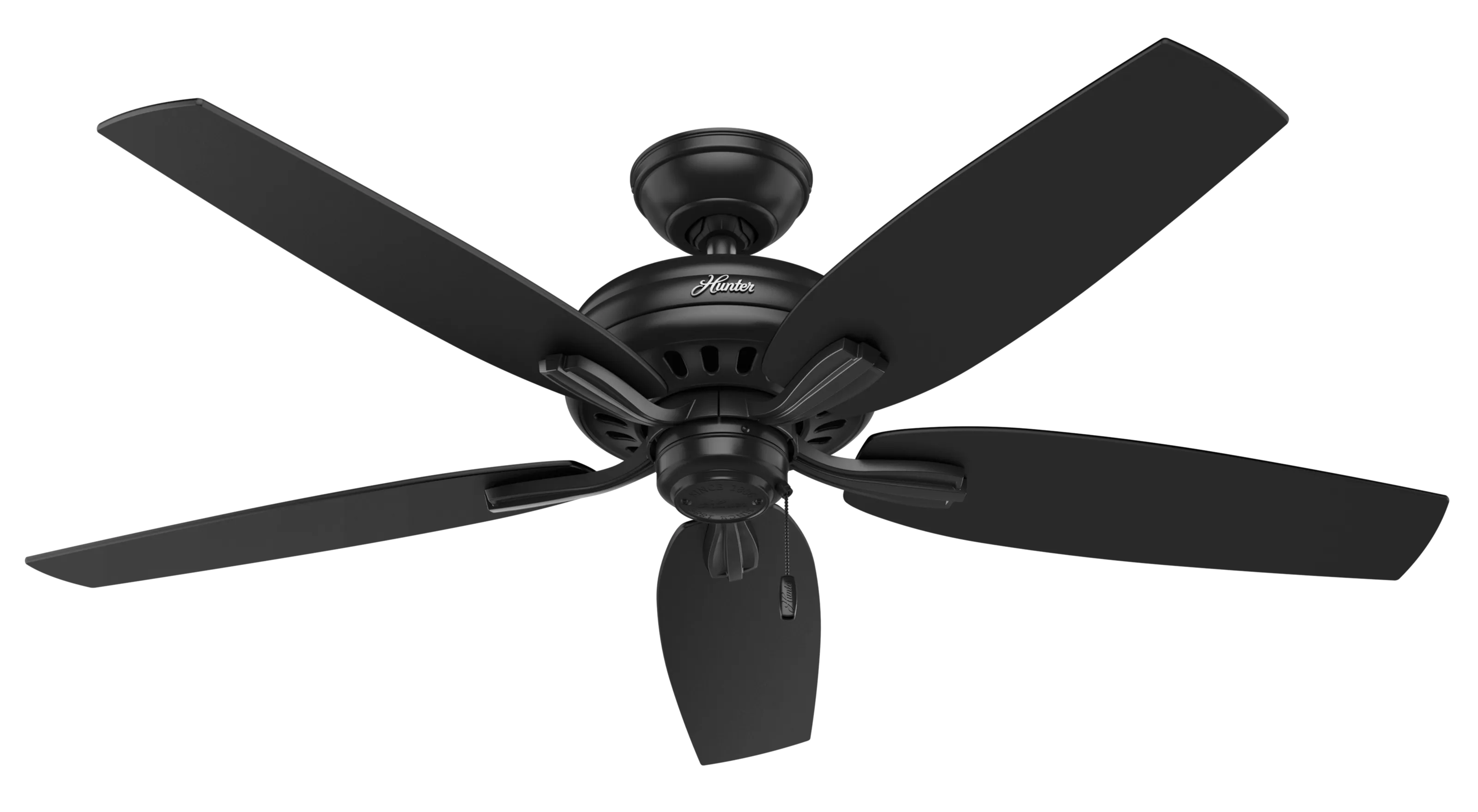 Hunter 52 inch Newsome Damp Rated Ceiling Fan and Pull Chain