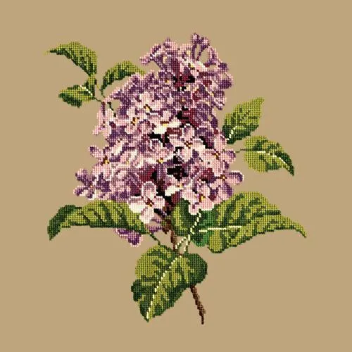 Lilac