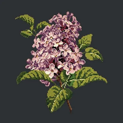 Lilac
