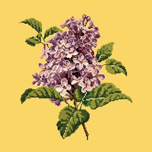 Lilac