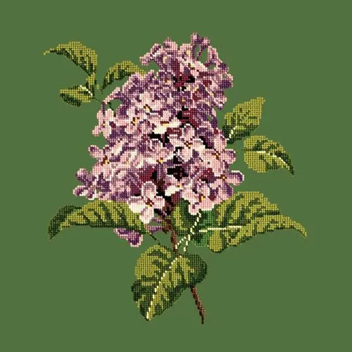 Lilac