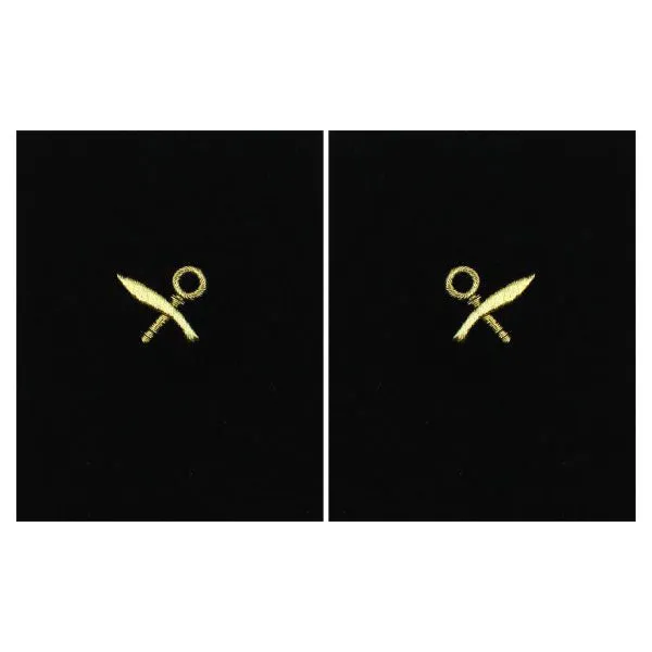 Navy Sleeve Device: Intelligence Specialist