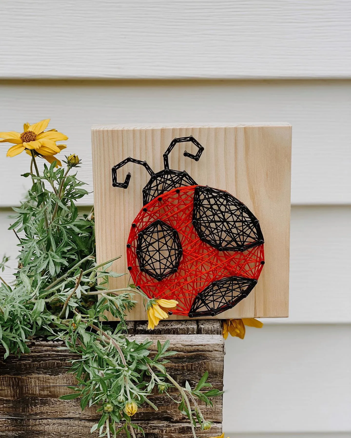 String Art Kits by Knot Really Art