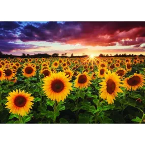 Sunflower - 5D DIY Full Drill Diamond Painting 40*30cm
